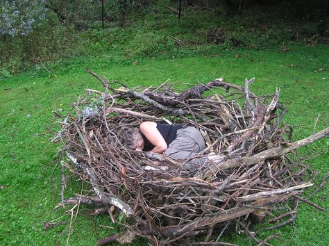 Human Nest Bird Nest Craft, Tiny Creatures, Wire Knitting, Play Garden, Willow Weaving, Natural Playground, Forest School, Pretty Decor, Garden Landscape Design