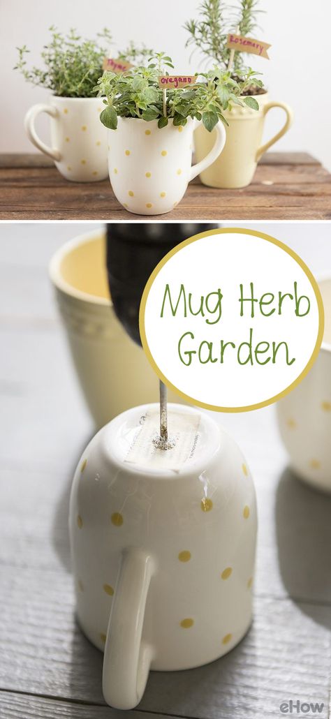 This  herb garden is as cute as possible! Grow the perfect spring and summer time herbs like fresh oregano, rosemary and thyme in adorable mugs. Your kitchen window sill just upgraded. These also make GREAT housewarming gifts! http://www.ehow.com/how_12343244_make-mug-herb-garden.html?utm_source=pinterest.com&utm_medium=referral&utm_content=freestyle&utm_campaign=fanpage Kitchen Window Herb Garden, Window Sill Plants, Housewarming Gifts For Men, Window Herb Garden, Herb Garden Planter, Kitchen Window Sill, Grow Herbs, Kitchen Herbs, Gift Mugs