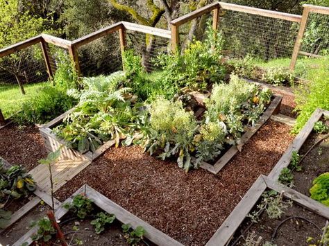 Hill Garden Design Ideas | Creating Perfect Garden Designs to Beautify Backyard Landscaping Ideas Steep Backyard, Fenced Vegetable Garden, Terraced Landscaping, Diy Garden Bed, Hillside Garden, Sloped Backyard, Terrace Garden Design, Garden On A Hill, Sloped Garden