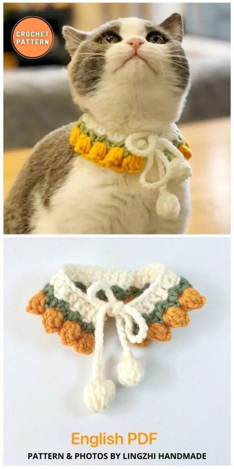 Crochet Cat Collar, Collar Patterns, Crochet Dog Clothes, Crochet Cat Hat, Crochet Design Pattern, Crochet Collar, Fun Crochet Projects, Crochet Dog, Diy Crochet Projects