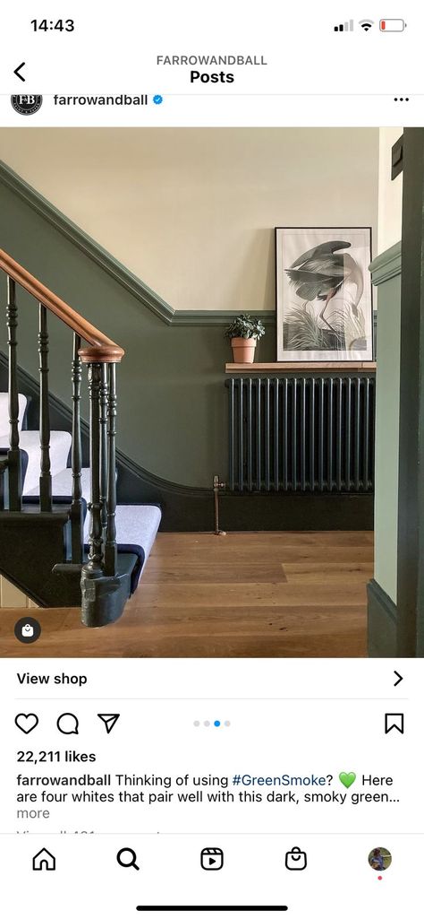 Wooden Bannister Ideas, Dark Green Panelling, Painted Bannister, Two Tone Hallway, Dado Rail Hallway, Victorian Entrance Hall, Bannister Ideas, Hallway Dark, Victorian Entrance