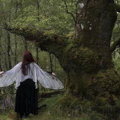 Fae Aesthetic, Dark Cottage Core, Fairy Grunge Aesthetic, Dark Fairycore, Ethereal Aesthetic, Fairy Aesthetic, Dark Cottagecore, Dark Fairy, + Core + Aesthetic