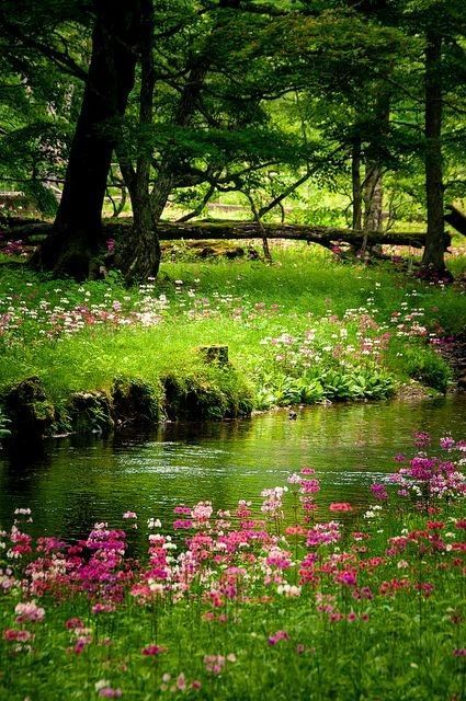 Fae Garden, Scenery Inspiration, Mystical Places, Awesome Photography, Nature View, Southern Europe, Garden Path, Alam Yang Indah, Garden Cottage