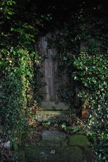 Secret Door Aesthetic, Murals Ideas, Secret Garden Door, Abandoned Ruins, Demon Book, Secret Garden Book, Garden Magic, Garden Door, Lush Forest