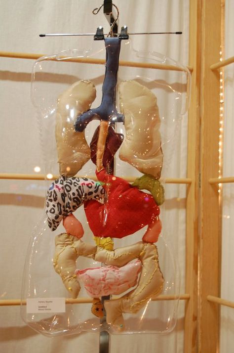 Life Size Fabric Digestive System Plushy Organ Art Sculpture with Plastic Torso Form Human Body Installation Art, Organ Sculpture, Organ Art, Organs Art, Human Body Art, Systems Art, Ceramic Art Sculpture, Human Anatomy Art, Textile Sculpture