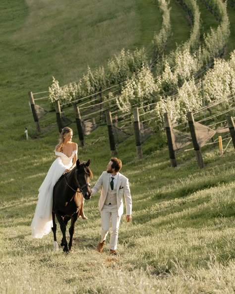 The reels saw these first, not gonna lie 🤭 So I hope you don’t mind the double post. Chances are you probably didn’t see this anyways, because the algorithm is all over the place! I absolutely loved getting the opportunity to capture these beautiful couples photos at @montalucewinery 🤍 it really isn’t an everyday thing for me to get to work with animals, let alone one as stunning as Versace here! Every detail of this day was so beautifully curated; it was romantic, dreamy, effortless. If ... Wedding Photo Ideas With Horses, Pre Wedding With Horse, Horseback Wedding Photos, Wedding Photoshoot With Horse, Bride With Horse Photo Ideas, Horse Riding Wedding, Weddings With Horses, Riding Horse Down The Aisle, Wedding Horse Pictures