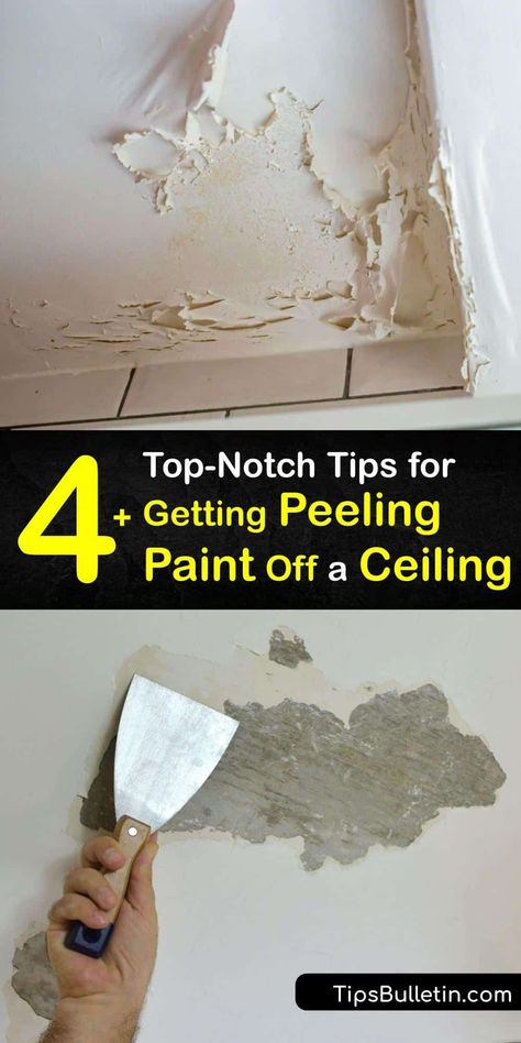 Bathroom Ceiling Paint, Repair Ceilings, Paint Ceiling, Paint Scraper, Cozy Eclectic, Scrape Painting, Painting Hacks, Ceiling Paint, Ceiling Painting