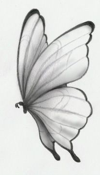 Pencil Drawings Of Nature, Easy Pencil Drawings, Butterfly Art Drawing, Pencil Drawings Of Flowers, Painting Butterfly, Desen Realist, Pola Bordir, 그림 ��낙서, Siluete Umane