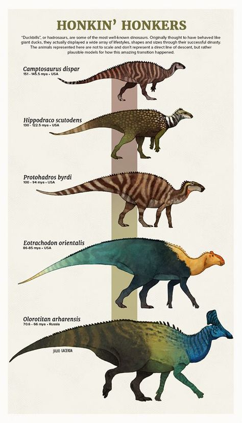 Hadrosaurus Evolution Animal Evolution, Prehistoric Animals Dinosaurs, Animal Tumblr, Prehistoric Wildlife, Prehistoric Dinosaurs, Dinosaur Illustration, Prehistoric World, Jurassic World Dinosaurs, Ancient Animals