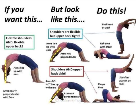 Yoga Wheel Exercises, Yoga Alignment, Wheel Pose Yoga, Yoga Humor, Couples Yoga Poses, Yoga Backbend, Quarantine Activities, Yoga Progress, Wheel Pose