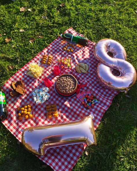 Anna Clara, Picnic Party, Birthday Photoshoot, 18th Birthday, Baby Love, Picnic Blanket, Outdoor Blanket, Birthday, Instagram