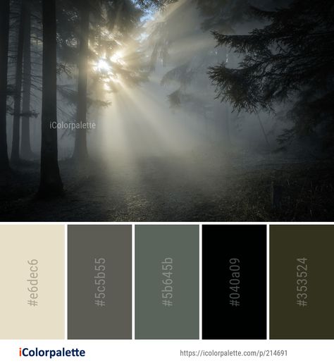 referencia de cor e ambientação Gloomy Colour Palette, Color Pallets Nature, Deep Forest Color Palette, Moody Green Color Palettes, Dark Green Pallete, Gloomy Color Palette, Gloomy Palette, Color Inspiration Colour Palettes, Forest Color Palette