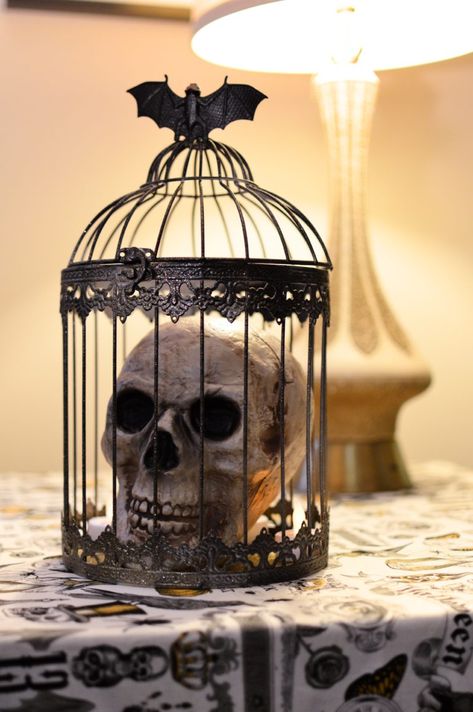 Spooky Centerpiece Ideas, Spooky Centerpieces, Birdcage Centerpiece, Spooky Diy, Centerpiece Diy, Cheap Halloween Decorations, Creepy Halloween Decorations, Spooky Party, Room Aesthetics