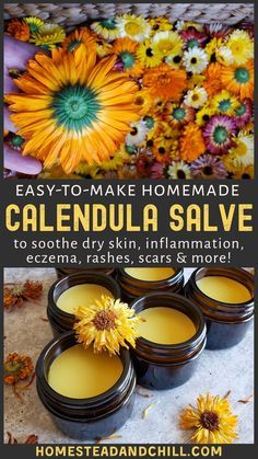 Homemade Salve, Calendula Salve, Herbal Remedies Recipes, Salve Recipes, Herbal Salves, Skincare Secrets, Herbal Recipes, Natural Healing Remedies, For Healthy Skin