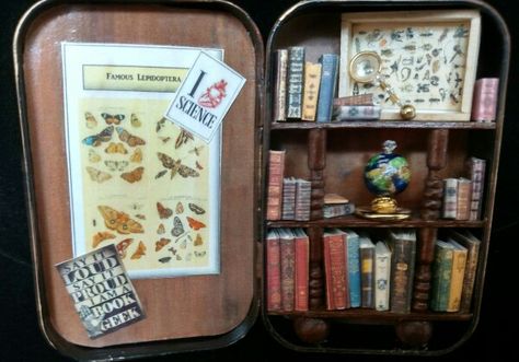 Altered Altoid tin, library, inside Tin Box Diorama, Altoid Tin Library, Altoid Tin Bookshelf, Altoid Diorama, Altoid Tin Ideas Miniatures, Altiod Wallet, Altoid Tin Art, Altoid Tin Ideas, Altoids Wallets