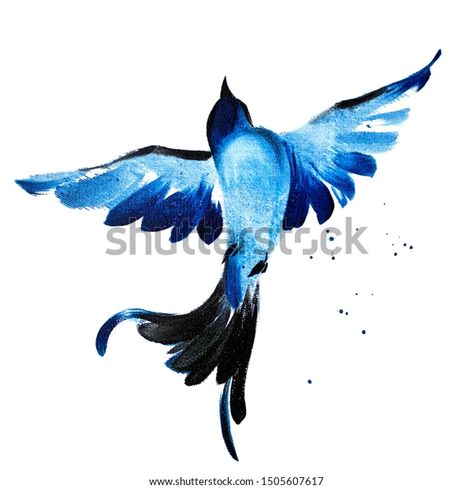 Blue Watercolor Hand Drawn Flying Bird Stock Illustration 1505607617 | Shutterstock Blue Bird Illustration, Flying Bird Drawing, Bluebird Tattoo, Fly Drawing, Blue Bird Art, Flying Bird, Bird Silhouette, Bird Drawings, Bird Illustration