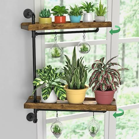 Window Plant Shelf, Indoor Plant Shelves, Shelves Industrial, Plant Window, Plants Pots, Window Shelves, Window Plants, Large Plant Pots, Indoor Window