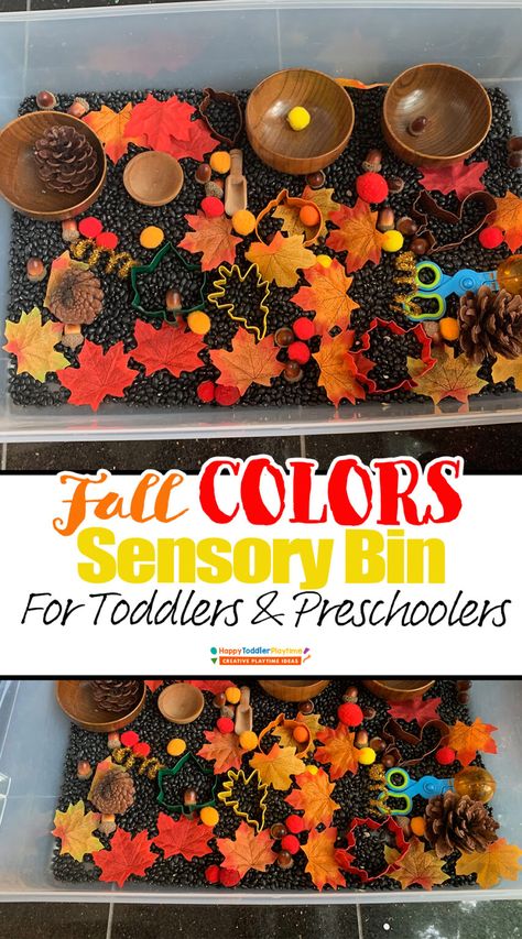 Fall Provocations Toddlers, Colors Sensory Bin, Sensory Bin For Toddlers, Fall Sensory Bin, Fall Sensory, Toddler Sensory Bins, Fall Lesson Plans, Preschool Fall, Diy Preschool