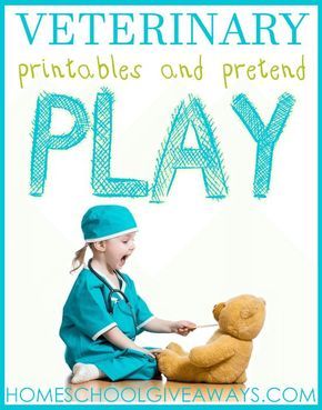 FREE Veterinary Printables and Pretend Play Dramatic Play Printables Free, Preschool Freebies, Pet Study, Pretend Play Printables, Pet Doctor, Play Doctor, Dramatic Play Printables, Purposeful Play, High School Art Lesson Plans