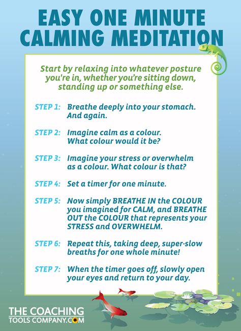 We've created an easy and calming 1 Minute Meditation graphic - that anyone can do, any time! Share this with your fans on social media, and you can also use this 1 Minute Meditation with your clients in a session or workshop. Easy! Meditation Graphic, Minute Meditation, Meditation Kids, Guided Meditation Scripts, Quick Meditation, Meditation Scripts, Guided Imagery, Meditation Exercises, Mindfulness For Kids