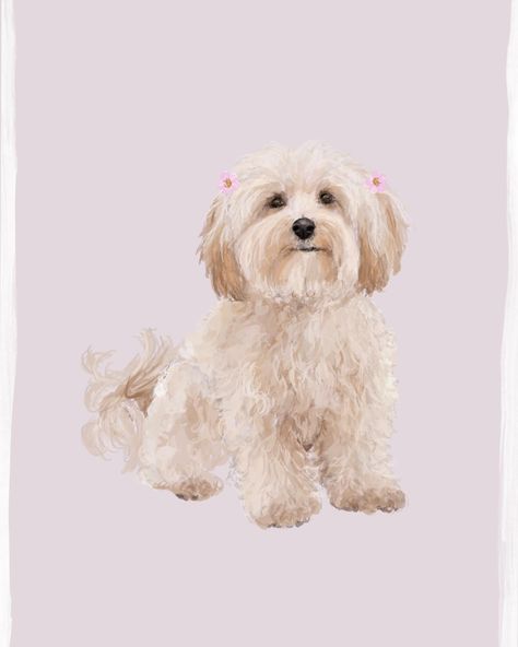 A pawtrait of @melle.the.maltipoo ✨✨✨ Her owner created the cutest gift which included Melle’s pawtrait 🩷 . . . . . . . #dogillustration #petportrait #petportraitartist #petpainting #maltipoo #maltipoosofinstagram #illustration #artist #artwork #drawing #pets #dogoftheday #dogsofinstagram #doglover Drawing Pets, Maltipoo Dog, Dog Painting, Dog Illustration, Dog Paintings, Portrait Artist, Pet Portrait, Artist Artwork, Animal Paintings