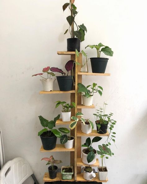 Plants have and will surely be in trend always, whether as indoor decor or an outdoor garden. These DIYs can be made by anyone and for any space in or outside your home. Click here for more such plant stand ideas, diy plant stand ideas, diy plant stand, diy indoor plant stand, outdoor plant stand, easy plant stand ideas, metal plant stand, wooden plant stand, modern plant stand, corner plant stand Stands For Plants Pots, Diy Plant Stand Indoor Window, Diy Plant Stand Indoor, Plant Stand Corner, Diy Plant Stands, Plant Shelf Ideas, Plant Stand Wood, Plant Mom Aesthetic, Plant Stand Ideas