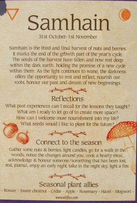 Happy Samhain, Witch Spirituality, May 1st, Blessed Be, Samhain, New Beginnings, New Year's, Incense, Letting Go