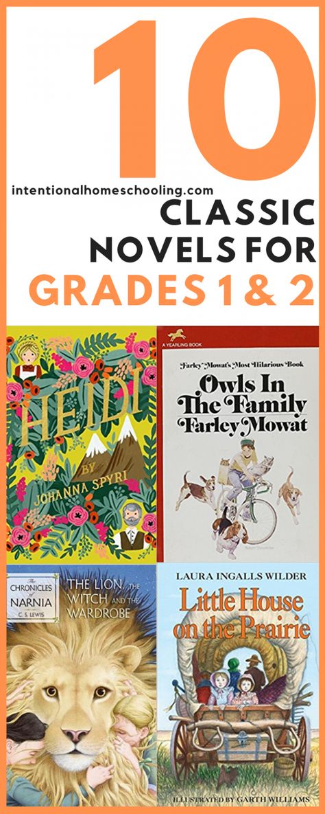 Language Art 1st Grade, Elementary Books To Read, Books For Second Graders, Books For 1st Graders, Books For First Graders, Read Aloud Chapter Books, 2nd Grade Books, Easy Chapter Books, Family Read Alouds