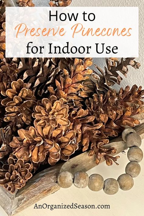 How to Preserve Pine Cones for Indoor Use - An Organized Season Preserve Pinecones, White Pine Cone, White Pine Tree, Winter Arrangements, Diy Pinecone, Bucket Filling, Diy Table Decor, Parchment Paper Baking, Pine Cone Decorations