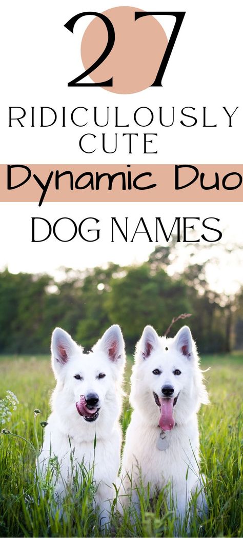 Finding the perfect duo dog names for your adorable brother and sister dogs is a breeze! Celebrate the special bond between your puppy siblings with our curated list of duo dog name ideas. From famous pairs to matching themes, we've got a delightful range of name combinations that will make your brother and sister dogs even more inseparable. Male Pet Names, Best Male Dog Names, Pet Names For Dogs, Name Combinations, Dog Name Ideas, Famous Brothers, Famous Pairs, Cute Puppy Names, Female Dog Names