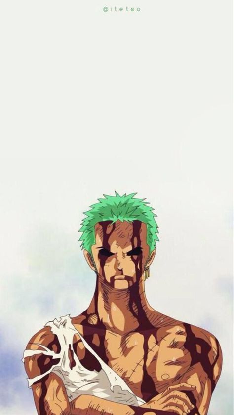 Zoro Anime, One Piece Bounties, Nothing Happened, Mr Cat, One Piece Cartoon, Anime Drawing Books, One Piece Wallpaper Iphone, Zoro One Piece, Season 12