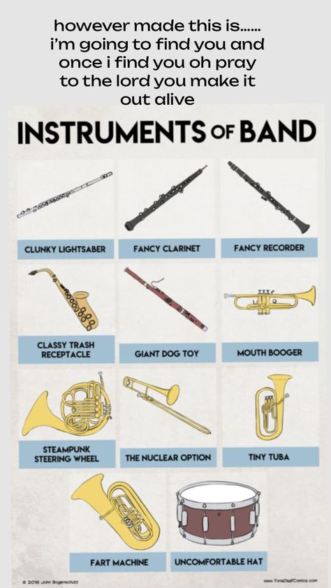 #band#bandkids#flutist#inmgonnakillyou Band Problems, Band Jokes, Band Quotes, Band Kid, Giant Dogs, Band Humor, Cat Kids, Me Quotes Funny, Kid Memes