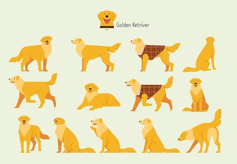 Golden retriever behavior bundle set fla... | Premium Vector #Freepik #vector #dog #texture #flat #lifestyle Golden Retriever Logo, Golden Retriever Doodle, Retriever Illustration, Golden Retriever Illustration, Flat Coated Retriever, Dog Icon, Flat Vector Illustration, Dog Vector, Idea Board