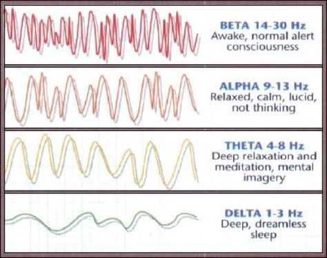 What are Beta Brain Waves? How can beta brainwave entrainment help you to become a more focused and motivated person in school and in your job and more Alpha Waves, Brainwave Entrainment, Loving Kindness Meditation, Out Of Body, Binaural Beats, Deep Meditation, Improve Focus, Brain Activities, Deep Relaxation