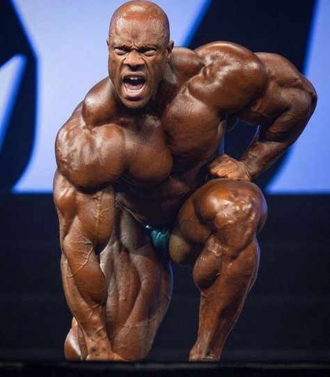 Phil Heath Phil Heath Bodybuilding, Iron King, Phil Heath, Dynamic Pose, Gym Inspiration, Dynamic Poses, Anatomy Reference, Loving Your Body, Bodybuilder