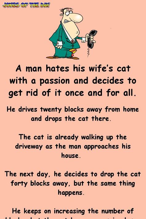 A man hates his wife’s cat with a passion and decides to get rid of it once and for all Clean Jokes For Seniors, Jokes For Seniors, Senior Jokes, Funny Pet Costumes, Funny Cat Jokes, Biker Bar, Aunt Quotes, Picture Jokes, Chirstmas Decor