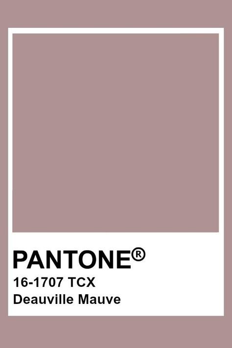 Brown Pantone, Pantone Color Chart, Pantone Swatches, Pantone Colour Palettes, Hex Color Palette, Pink Palette, Kitchen Design Trends, Bedroom Color Schemes, Makeup Room