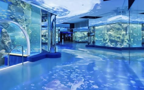 Aquarium Pictures, Frutiger Aero, Water Aesthetic, Windows Vista, Ishikawa, Retro Futurism, Pretty Places, Y2k Aesthetic, Aquariums