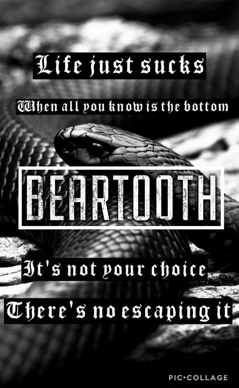 Beartooth wallpaper Beartooth Wallpaper, Beartooth Lyrics, Alchemy Tattoo, Band Shirt, Band Posters, Band Shirts, Music Lyrics, Music Bands, Let It Be