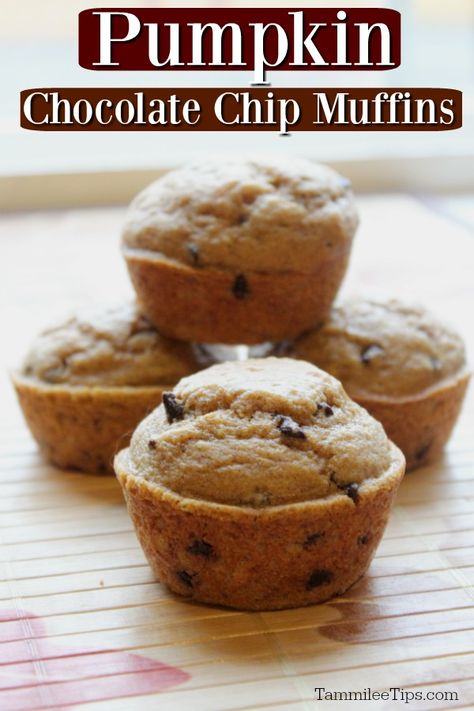 Easy moist pumpkin chocolate chip muffins recipe! Made with mini chocolate chips, Bisquick pancake mix, and a few other ingredients you won't believe how easy these muffins are to make. Perfect for breakfast, brunch, or dessert. Easy Pumpkin Chocolate Chip Muffins, Muffins Chocolate Chip, Pumpkin Chocolate Chip Muffin Recipe, Chocolate Chip Pumpkin Muffins, Alaska Food, Pumpkin Muffins Easy, Pumpkin Recipes Easy, Pumpkin Chocolate Chip Muffins, Streusel Muffins