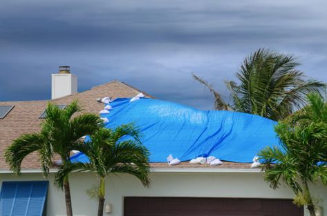 Florida Governor to Sign Property Insurance Measure But Says State Needs to Do More Colorbond Roofing, Roof Damage, Standing Seam Metal Roof, Roof Inspection, Small Apartment Living Room, Standing Seam, Small Apartment Living, Roof Types, Up House