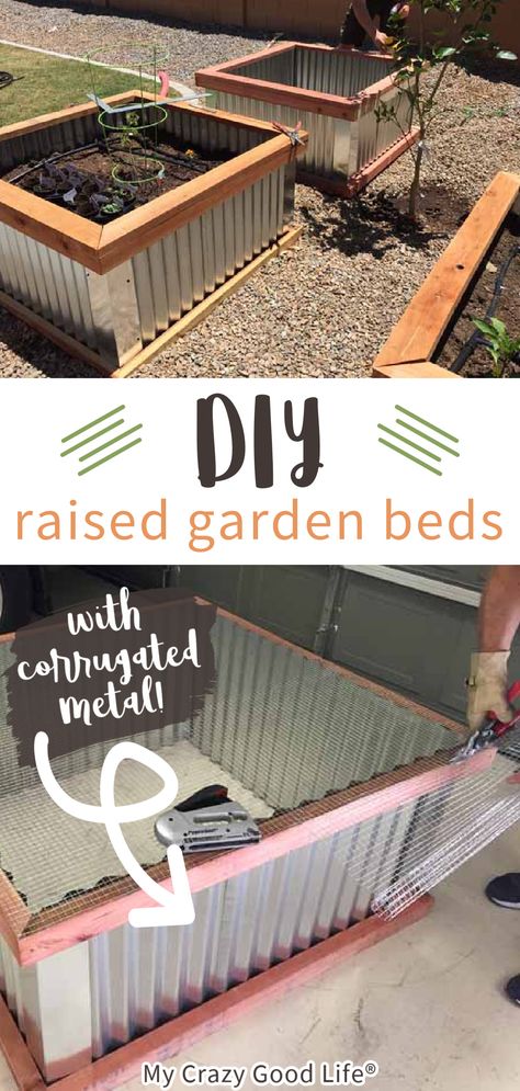 Raised Bed Planters Ideas, Grow Zucchini, Diy Raised Garden Beds, Growing Vegetables At Home, Raised Garden Beds Diy Vegetables, Raised Vegetable Garden, Garden Bed Layout, Metal Garden Beds, Raised Garden Bed Plans