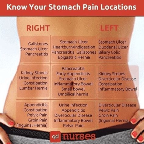 EXAMINATION OF ABDOMEN – PART 2 – Dentowesome Nursing School Tips, Nursing School Notes, Nursing Tips, Certificate Programs, Nurse Stuff, Nursing Education, Stomach Pain, Nursing Notes, Nursing Study