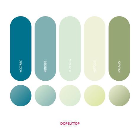 What should we call this Palette? Dopely Colors #326Get this Palette from https://dopely.top/ or edit it until your happy 😊-Create something amazing with this Palette and use #MadewithDopelyColors to get featured❤-More Color Palette Inspirations @Colors.DopelyFree Design Resources @Design8ioAwesome Design Jobs @DopelyJobs  #Regram via @mr.pugo Html Color Codes, Website Color Palette, Color Design Inspiration, Colorful Interior Design, Web Colors, Hex Color Palette, Color Script, Fresh Color Palette, Design Jobs