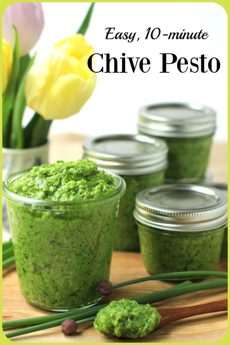 Chive Pesto Chives Recipes, Chive Pesto, Chive Sauce, Chives Recipe, Keto Dips, Pesto Recipes, Sauteed Shrimp, How To Make Pesto, Veggie Dip