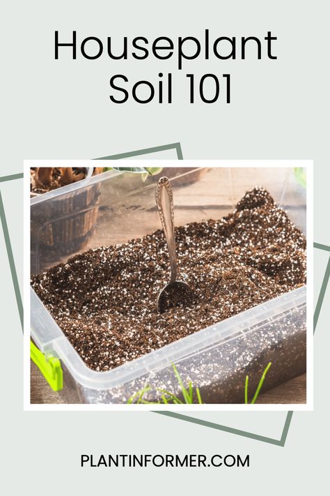 Discover the power of optimal soil for your houseplants. Our Houseplant Soil 101: Definitive Soil Guide for Houseplants will teach you everything you need to know about choosing and maintaining the perfect environment for your green friends. Say goodbye to drooping leaves and hello to lush, blooming plants! 🌿🌱 Indoor Plant Soil Mixture, Dorm Plants, Plant Home, Ficus Elastica, Plant Care Tips, Soil Ph, Sandy Soil, Peat Moss, Blooming Plants