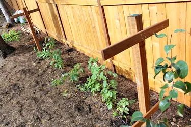 How to Build a Raspberry Trellis | eHow Raspberry Trellis Ideas How To Build, Raspberry Trellis Ideas Diy, Raspberry Support Ideas, Homestead Necessities, Raspberry Trellis Ideas, Berry Trellis, Allotment Planner, Blackberry Trellis, Climbing Roses Trellis