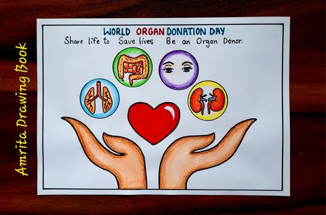 Video Tutorial uploaded on Amrita Drawing Book Channel. Subscribe for more creative Drawings and School Projects #world #Organ #Donation #Day #Poster #amritadrawingbook #Youtube Organ Donation Day Poster, Organ Donation Awareness Poster, Human Organs Drawing, Organ Donation Poster Drawing, Organ Donation Poster Creative, Eye Donation Poster Creative, Save Life Poster, Organs Drawing, Organ Donation Poster