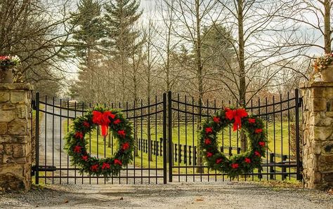 Take a relatively simple wrought iron gate design and accustom it to whatever holiday it is you’re celebrating. Have family and friends coming over for the holidays? These massive wreaths are a gorgeous way to lead them into all the holiday fun that awaits them inside. Farm Gates Entrance, Diy Driveway, Ranch Gates, Home Wreath, Wreath Indoor, Farm Gate, Driveway Entrance, Entrance Gates Design, Driveway Landscaping