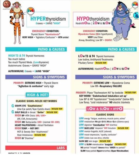 Endocrine Disorders Nursing, Endocrine Medications Nursing Students, Hypercalcium Nursing, Hypothyroid Vs Hyperthyroid, Siadh Nursing Mnemonic, Simple Nursing Study Guides Endocrine, Dka Vs Hhs Nursing, Hyperthyroid Vs Hypothyroid, Hypothyroid Nursing